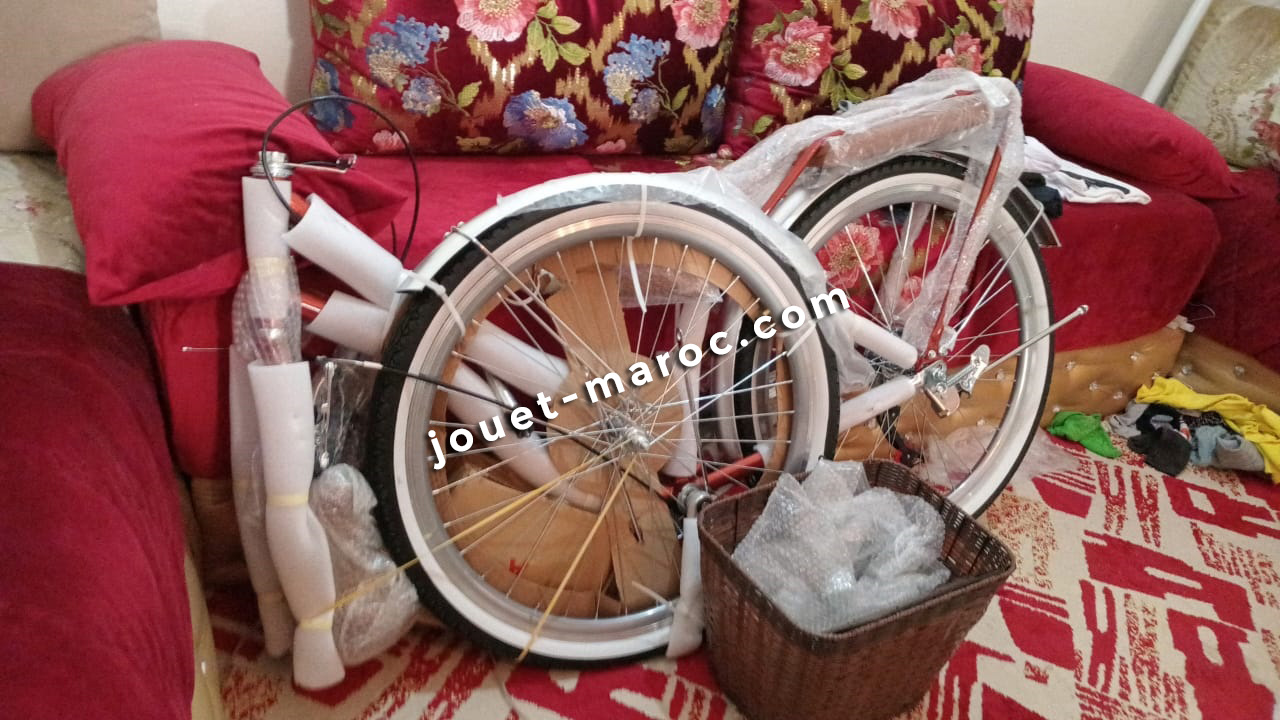 Photo client 1 Vélo Madame Hadmeng 26 01