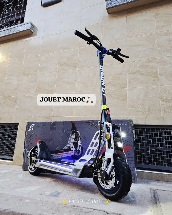 Trottinette électrique Bison Gt 1000 03