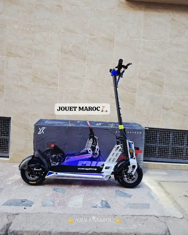 Trottinette électrique Bison Gt 1000 04