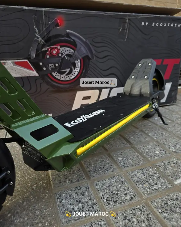Trottinette électrique Bison Gt 1000 07