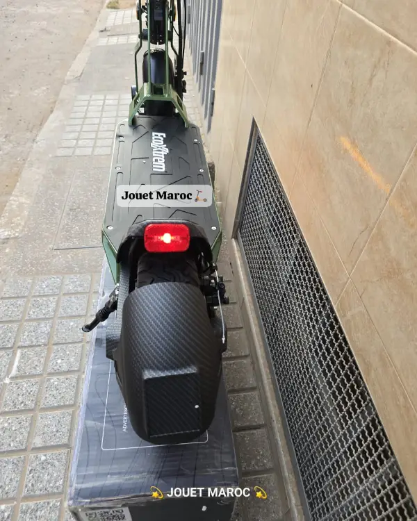 Trottinette électrique Bison Gt 1000 08