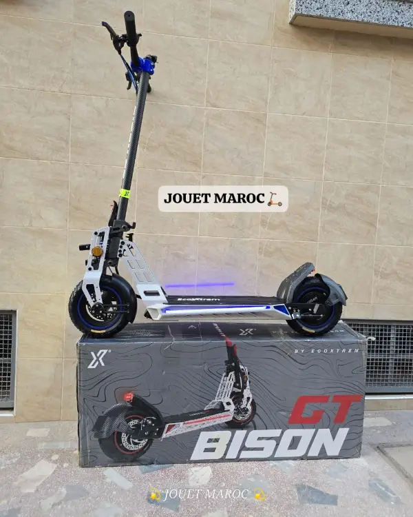 Trottinette électrique Bison Gt 1000 09