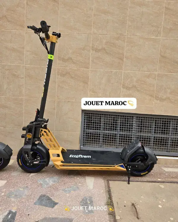 Trottinette électrique Bison Gt 1000 11