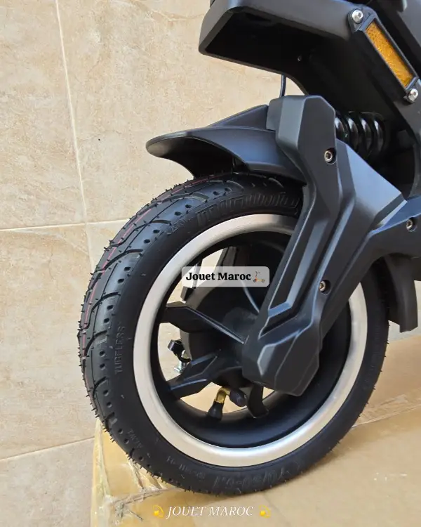 Trottinette électrique Dualtron Togo 48v 05