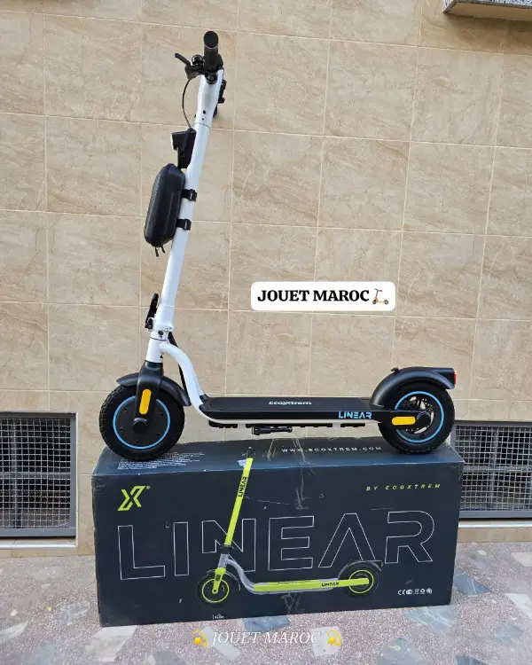 Trottinette Ecoxtrem Linear 02 