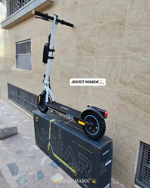 Trottinette Ecoxtrem Linear 03