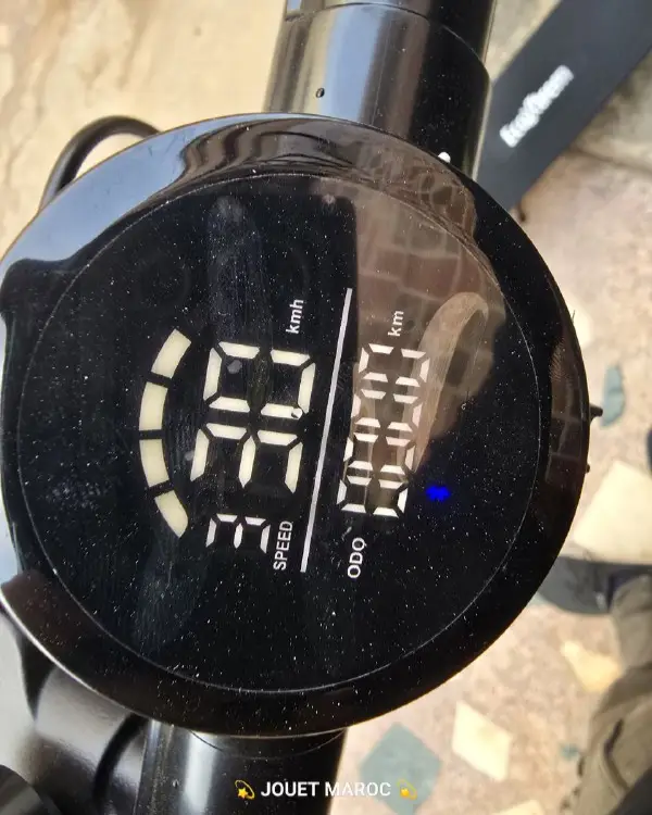 Trottinette Ecoxtrem Linear 04