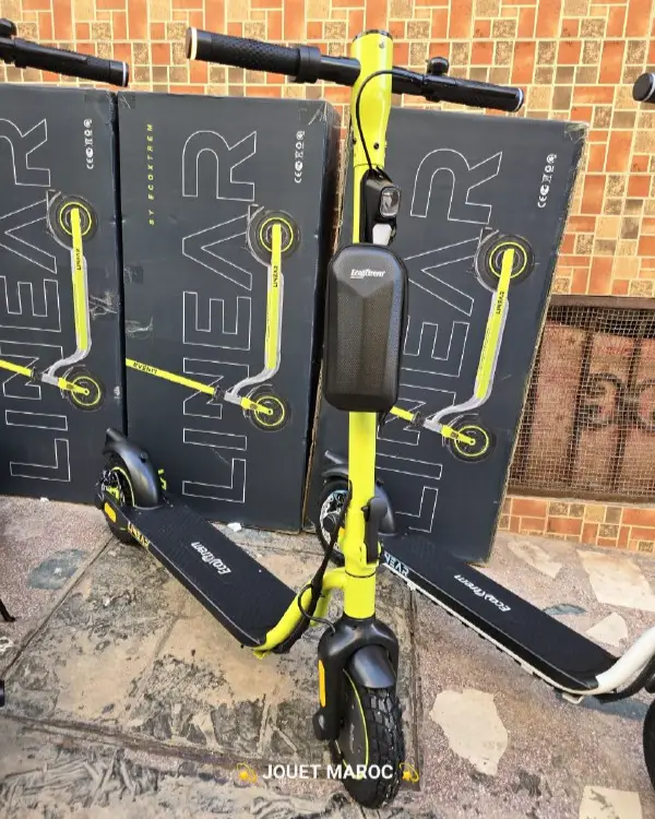 Trottinette Ecoxtrem Linear 06