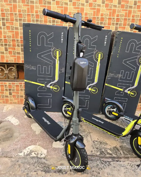 Trottinette Ecoxtrem Linear 07
