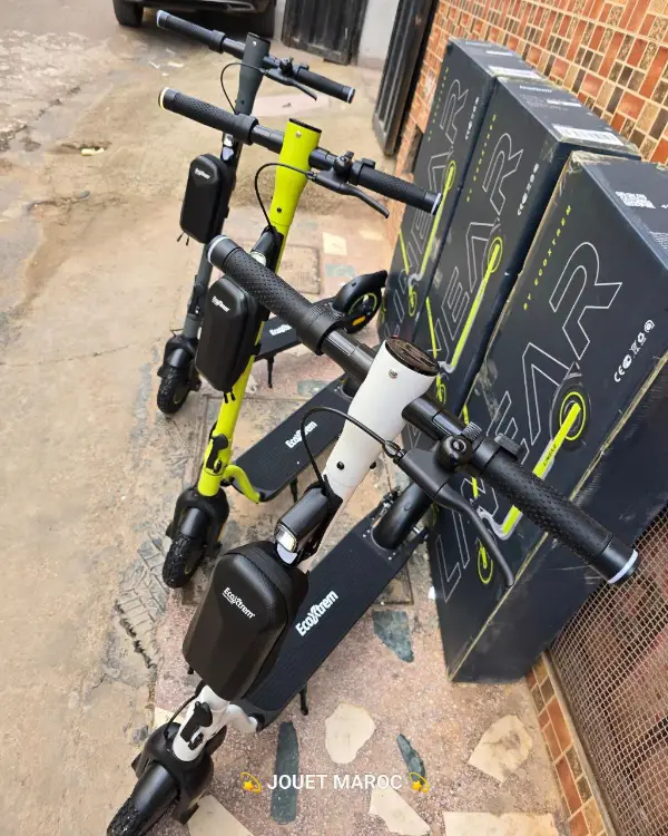 Trottinette Ecoxtrem Linear 08