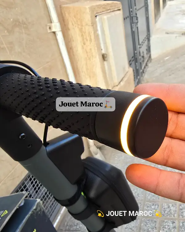 Trottinette Ecoxtrem Linear 10