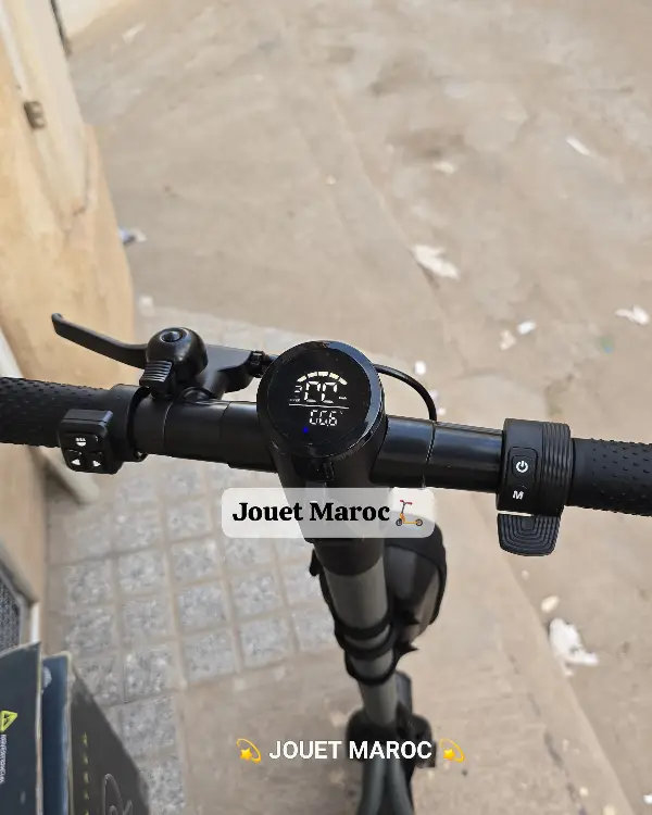 Trottinette Ecoxtrem Linear 11