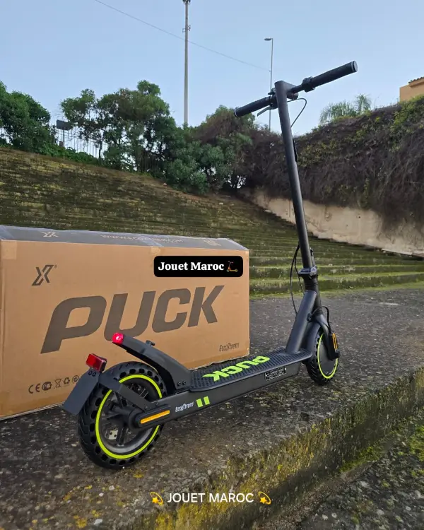 Trottinette électrique ECOXTREM PUCK 04