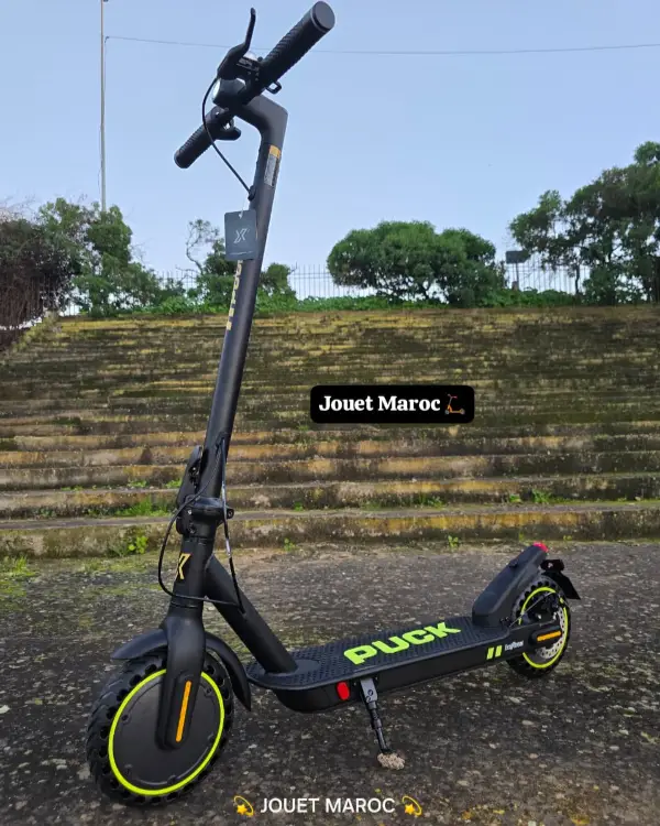 Trottinette électrique ECOXTREM PUCK 06