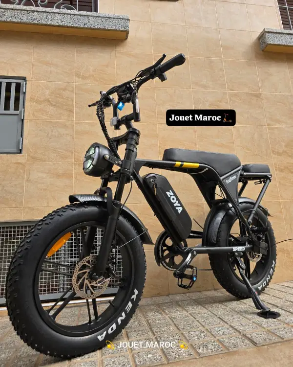 VÉLO ÉLECTRIQUE ECOXTREM ZOYA 02