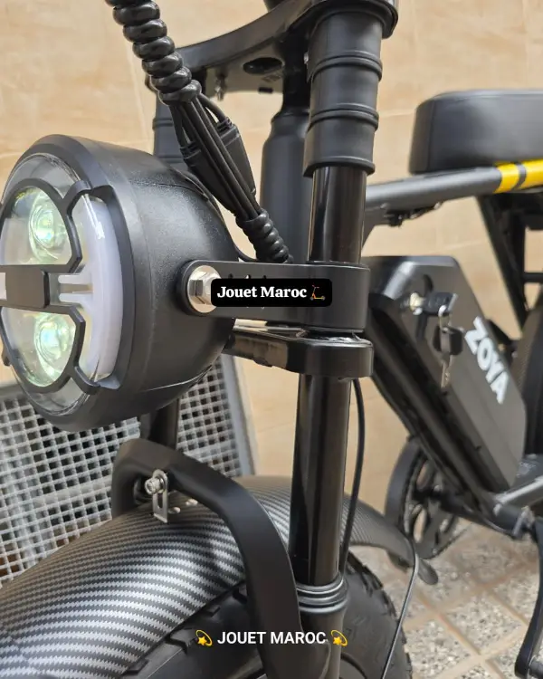 VÉLO ÉLECTRIQUE ECOXTREM ZOYA 04