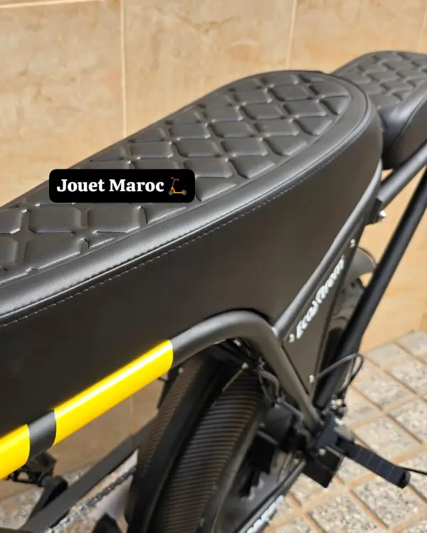 VÉLO ÉLECTRIQUE ECOXTREM ZOYA 09