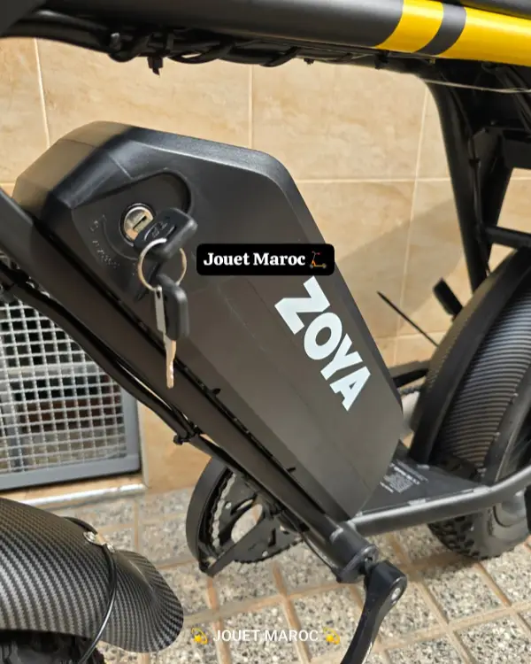 VÉLO ÉLECTRIQUE ECOXTREM ZOYA 10