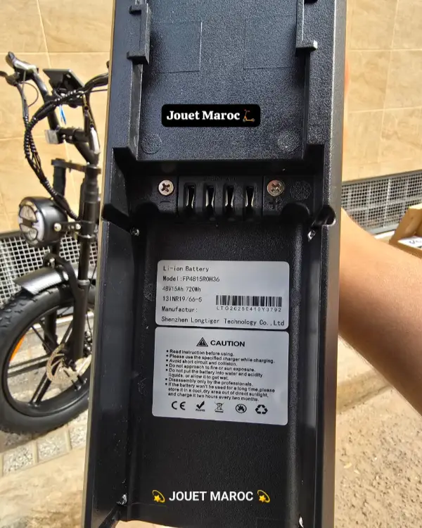 VÉLO ÉLECTRIQUE ECOXTREM ZOYA 11