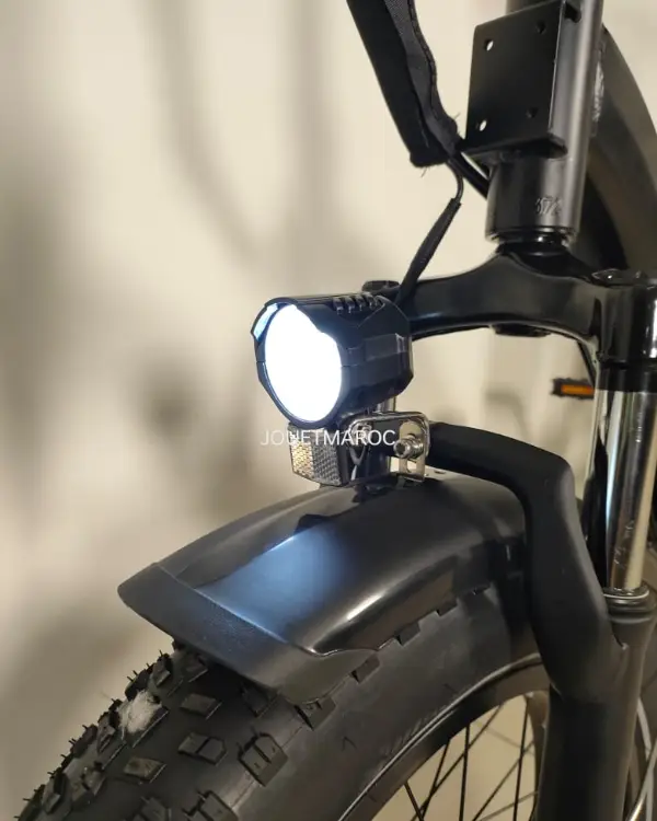 vélo LIKEBIKE SHINE S 09