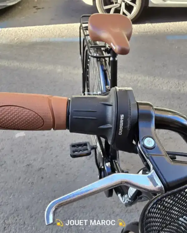 VÉLO MADAME ITALIANO 28