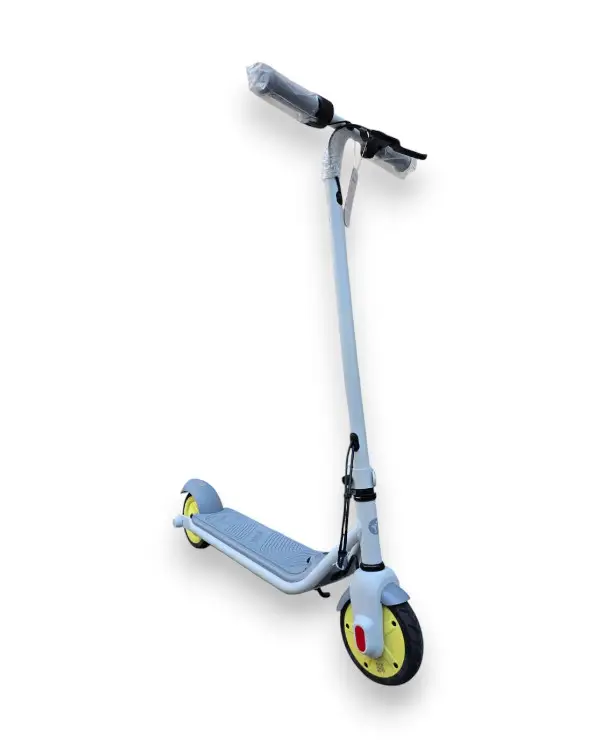 Trottinette électrique NINEBOT ZING C10