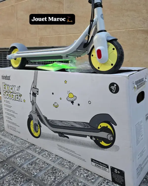 Trottinette électrique NINEBOT ZING C10 04