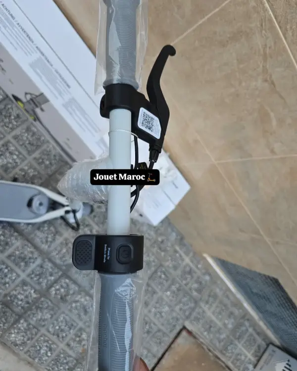 Trottinette électrique NINEBOT ZING C10 08