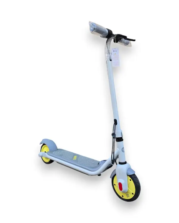 Trottinette électrique NINEBOT ZING C8 01