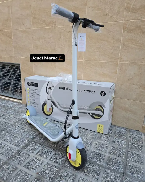 Trottinette électrique NINEBOT ZING C8 02
