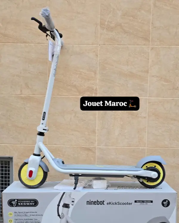 Trottinette électrique NINEBOT ZING C8 04
