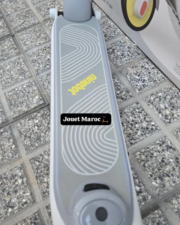 Trottinette électrique NINEBOT ZING C8 07