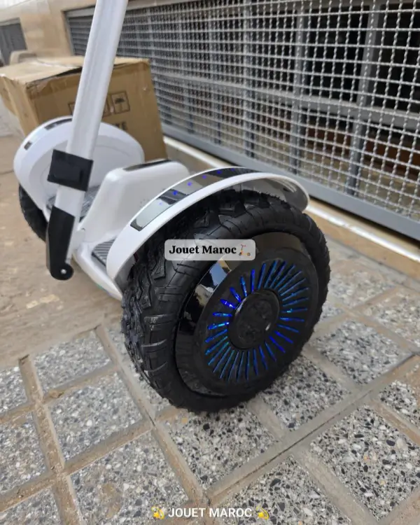 Electrique Segway X Scooter Pro 06