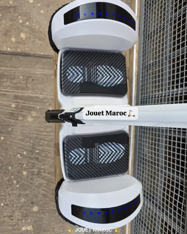 Electrique Segway X Scooter Pro 07