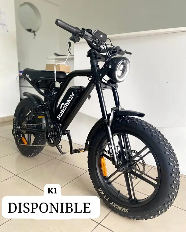 VÉLO ÉLECTRIQUE SUBORBOX K1 HARLEY 48V 02