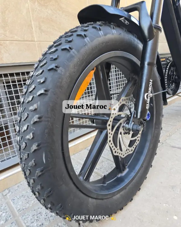 VÉLO ÉLECTRIQUE SUBORBOX K1 HARLEY 48V 08