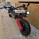 Miniature 5