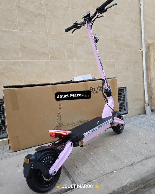 TROTTINETTE ECOXTREM BE1 03