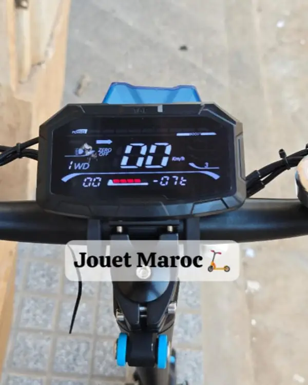 TROTTINETTE ECOXTREM G2 10