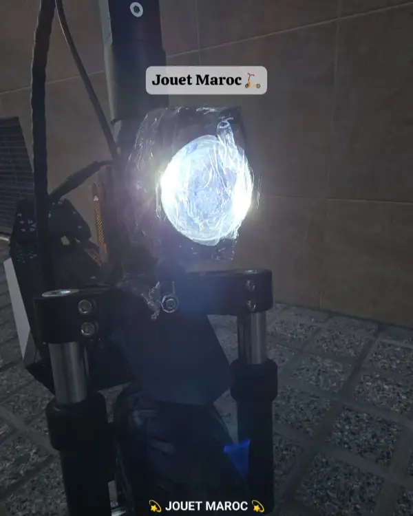 TROTTINETTE ECOXTREM G4 10