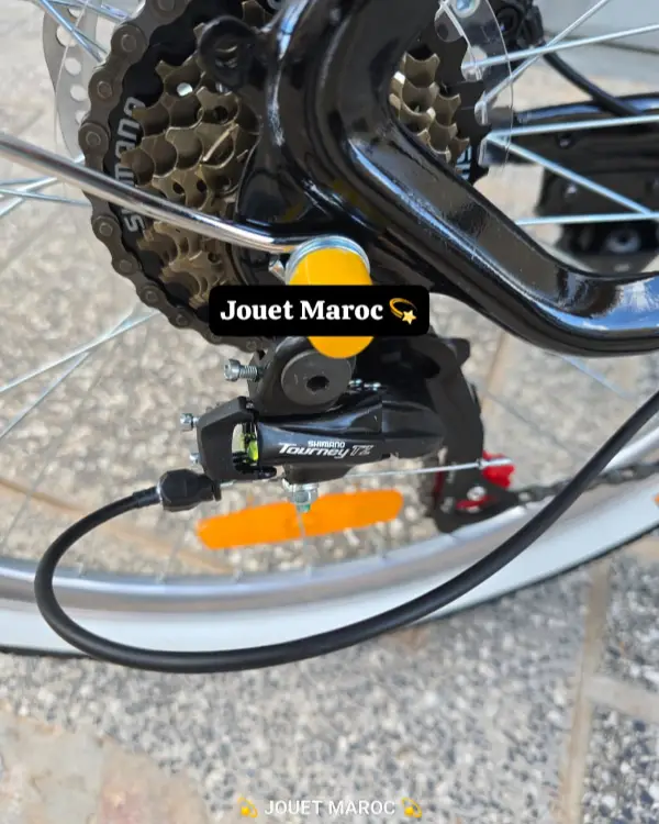 vélo madame Haomeng Coffee Bike 26 pouces 10