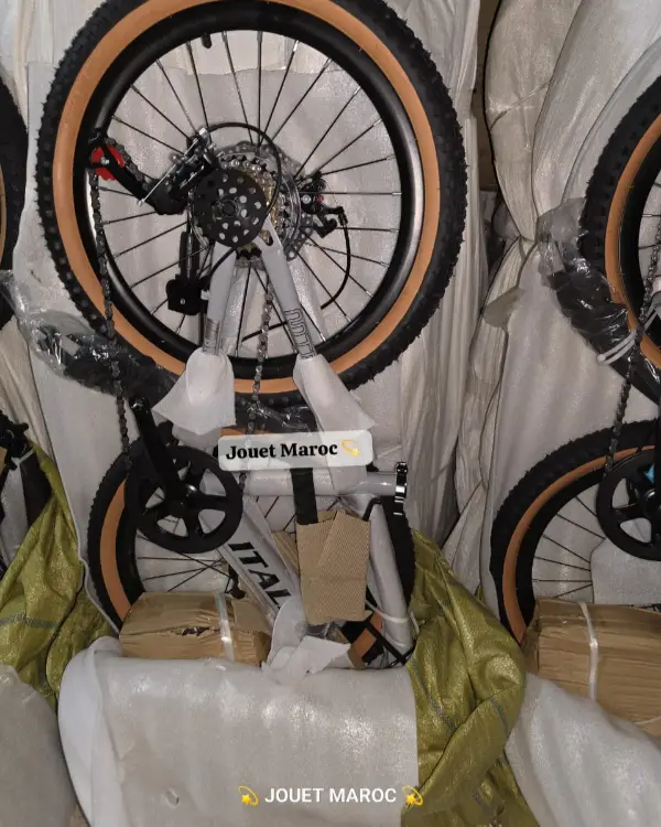 Vélo VTT ITALIANO 20 pouces 08
