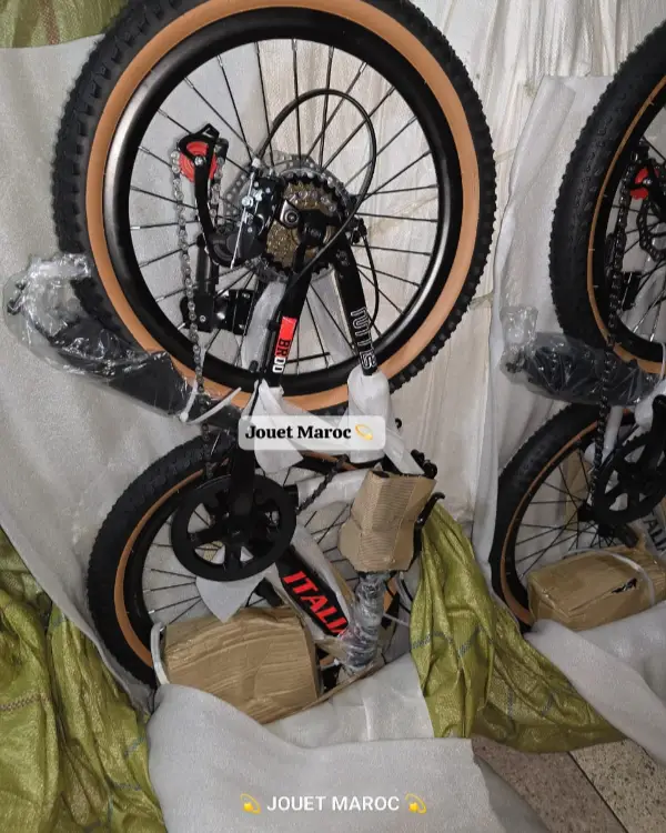 Vélo VTT ITALIANO 20 pouces 09