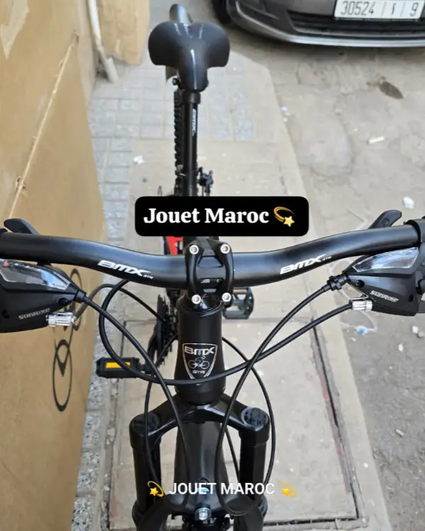 Vélo VTT BMX GTR - 668 10