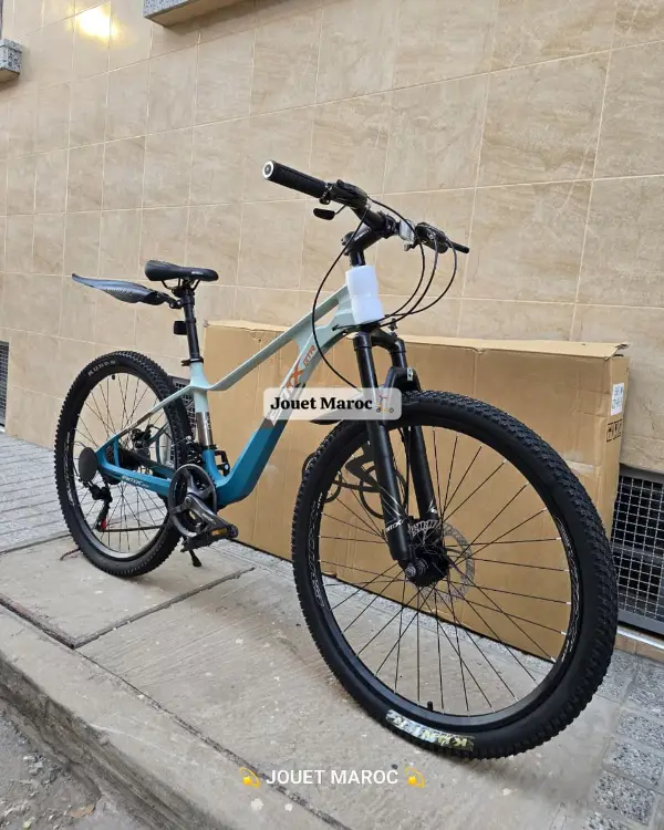 VÉLO VTT BMX GTR-985 ALUMINIUM 02