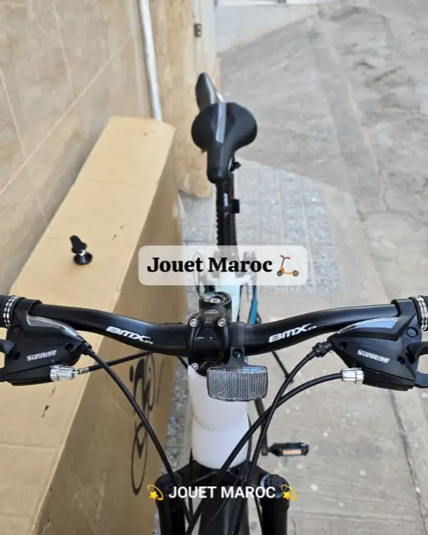 VÉLO VTT BMX GTR-985 ALUMINIUM 07