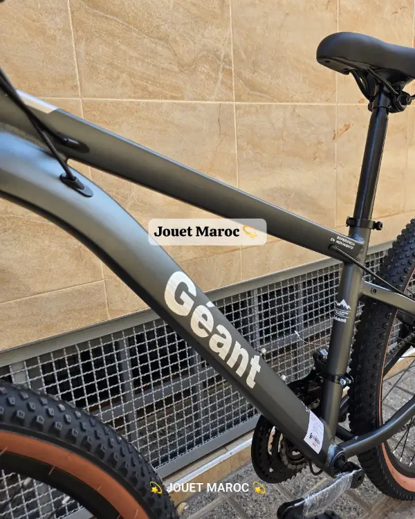 VÉLO VTT GÉANT ALUMINIUM 26 POUCES 05