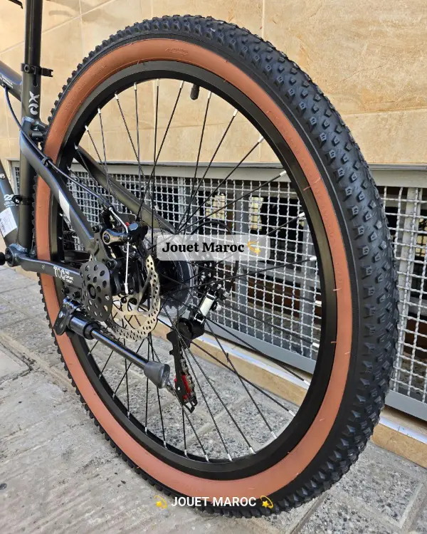 VÉLO VTT GÉANT ALUMINIUM 26 POUCES 06