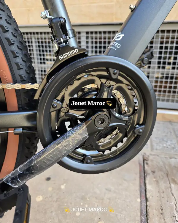 VÉLO VTT GÉANT ALUMINIUM 26 POUCES 07