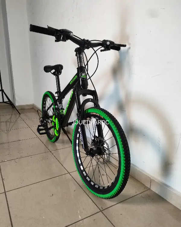 Vélo VTT ITALIANO 20 pouces 03